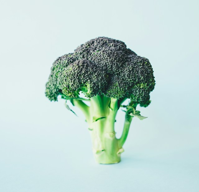Broccoli