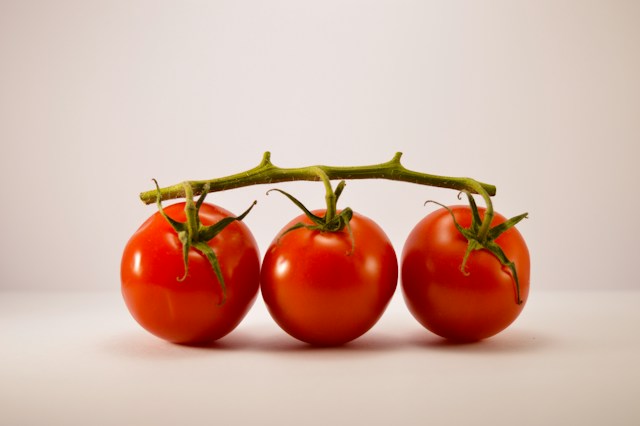 Vine tomatoes